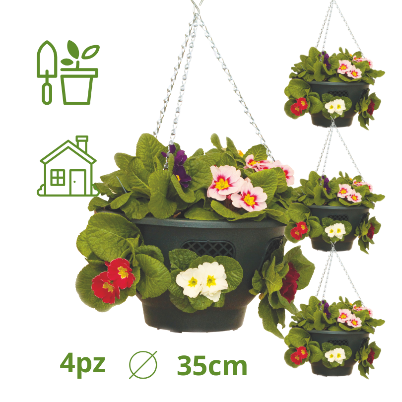Set 4 Fioriere Sospese Per Piante Da Interno Con Catena E Sottovaso - Plastica Resistente, 20 Cm